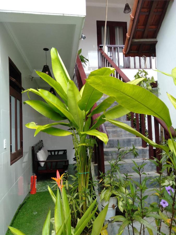 Pink Beach Homestay Хоян Екстер'єр фото